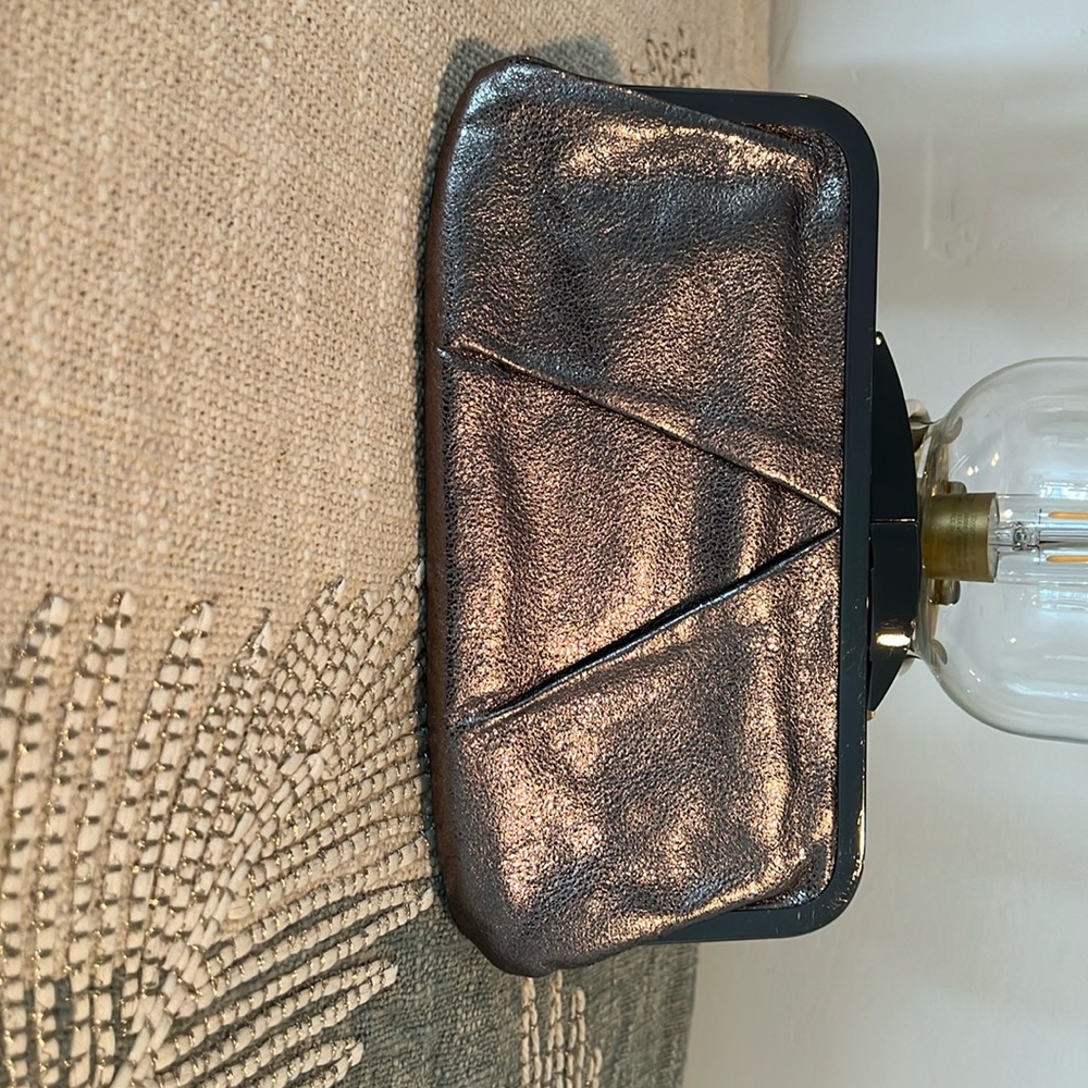 Hobo metallic clutch.